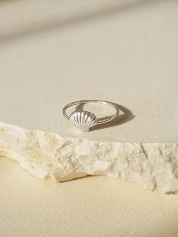 טבעת כסף צדף לאישה, טבעת צדף כסף לאישה, טבעת כסף מיוחדת לאישה, טבעת ים לאישה,